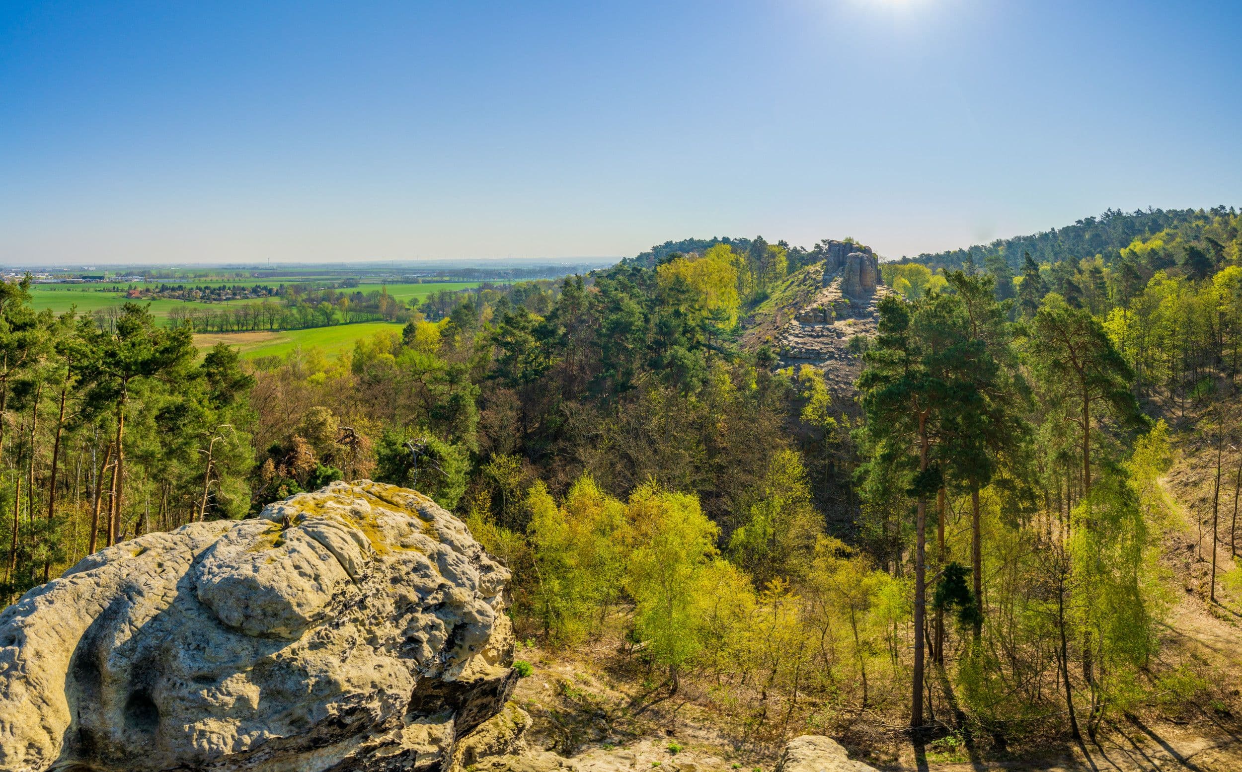 Restkarten für Stadtspaziergänge in Halberstadt verfügbar