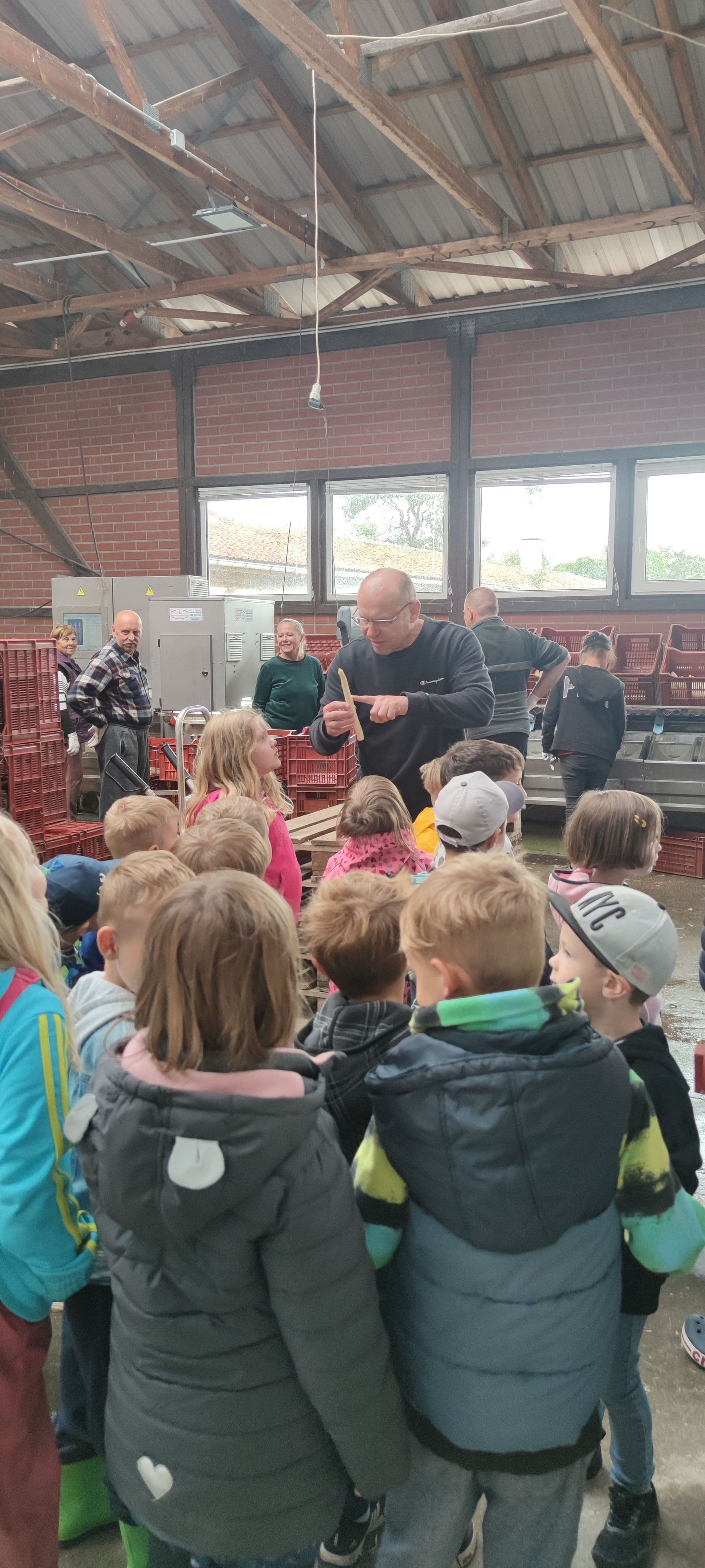 Sonnenkäfer entdecken Spargelhof Ruhnke