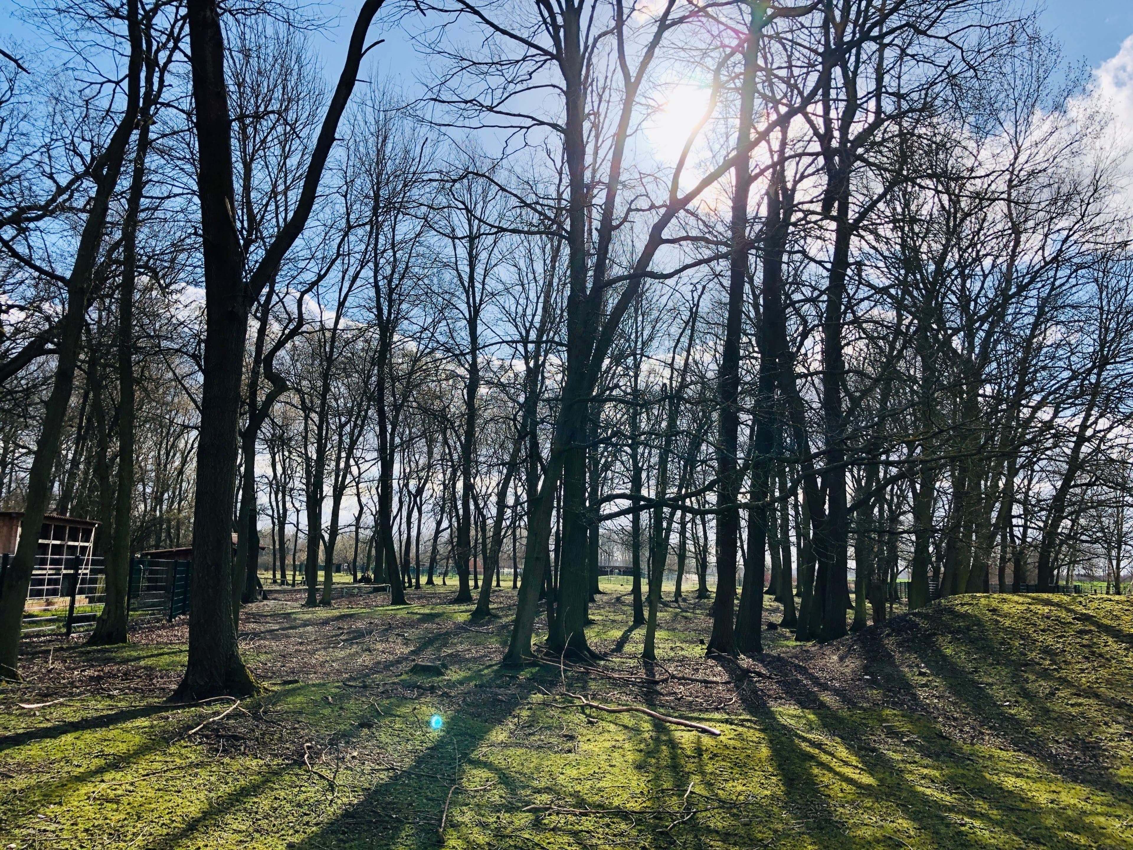 Wildpark Weißewarte erneut zum Verkauf gestellt