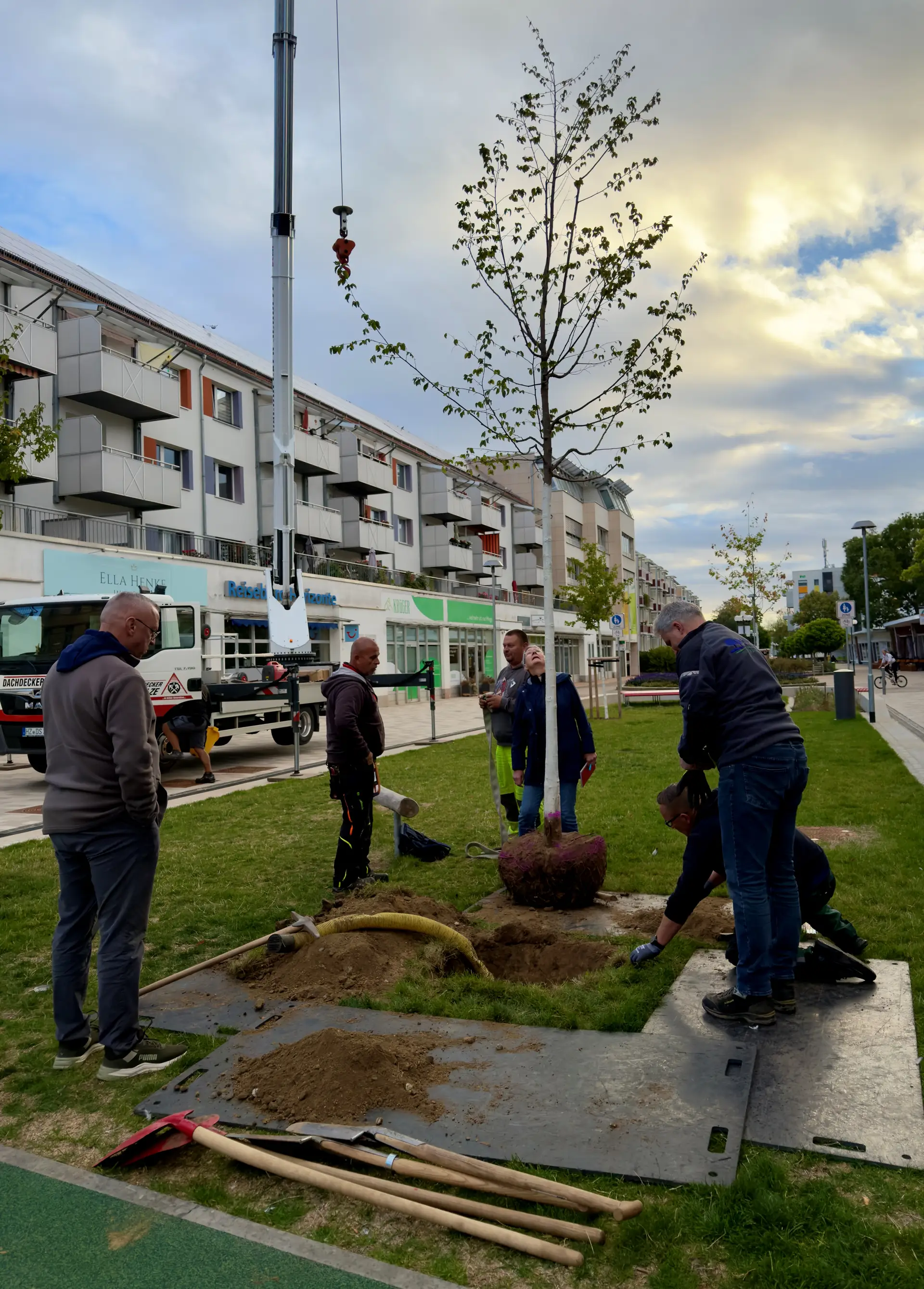 Mitarbeitende entnehmen auf dem Breiten Weg einen Laubbaum; der Baumeingriff wirkt wie eine laufende Entfernung eines Straßenbaums.